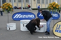 Z596 mg_final